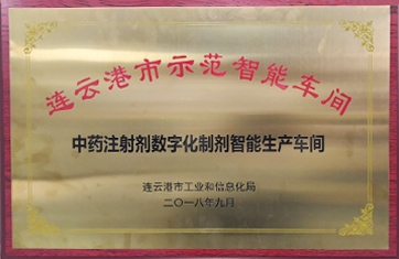 世界杯